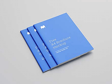Censuswide Annual Report 2024