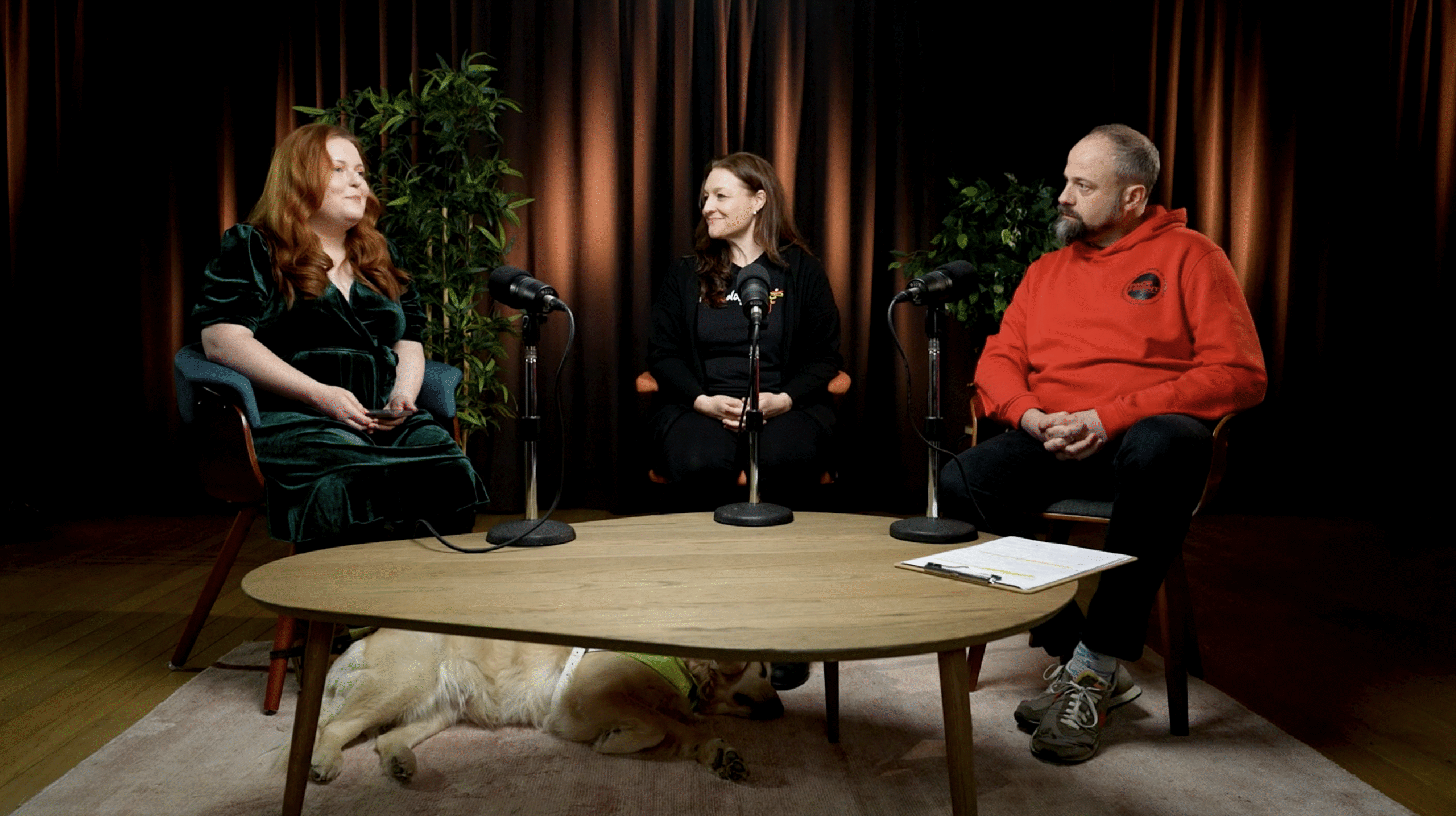 Stronger Voices Together